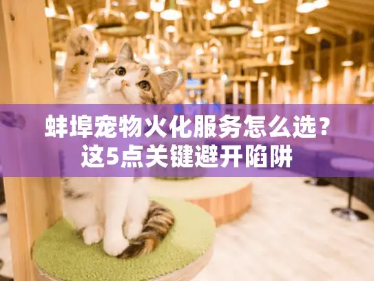 蚌埠宠物火化服务怎么选？这5点关键避开陷阱