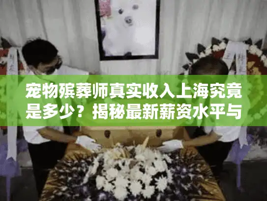 宠物殡葬师真实收入上海究竟是多少？揭秘最新薪资水平与行业内幕
