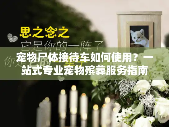 宠物尸体接待车如何使用？一站式专业宠物殡葬服务指南