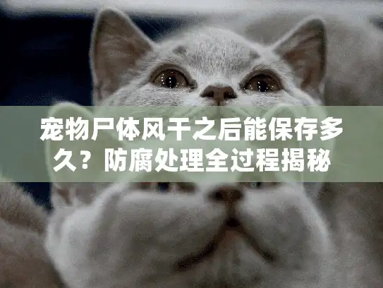 宠物尸体风干之后能保存多久？防腐处理全过程揭秘