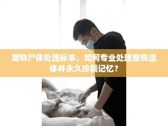 宠物尸体处理标本，如何专业处理宠物遗体并永久珍藏记忆？