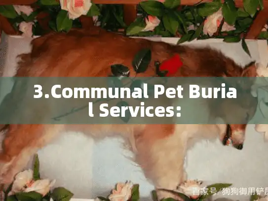 3.Communal Pet Burial Services: