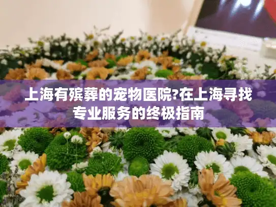 上海有殡葬的宠物医院?在上海寻找专业服务的终极指南