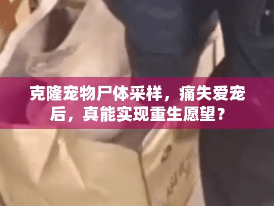 克隆宠物尸体采样，痛失爱宠后，真能实现重生愿望？