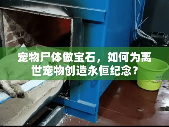 宠物尸体做宝石，如何为离世宠物创造永恒纪念？
