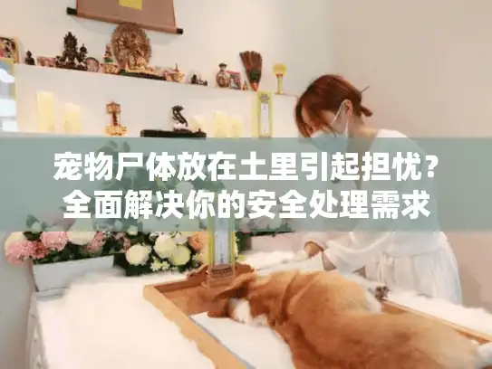 宠物尸体放在土里引起担忧？全面解决你的安全处理需求