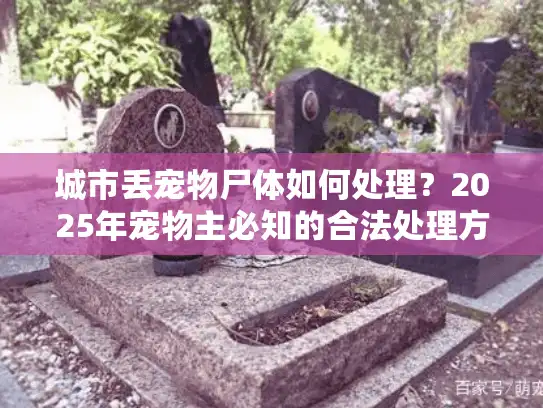 城市丢宠物尸体如何处理？2025年宠物主必知的合法处理方案