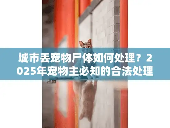 城市丢宠物尸体如何处理？2025年宠物主必知的合法处理方案