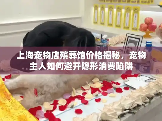 上海宠物店殡葬馆价格揭秘，宠物主人如何避开隐形消费陷阱