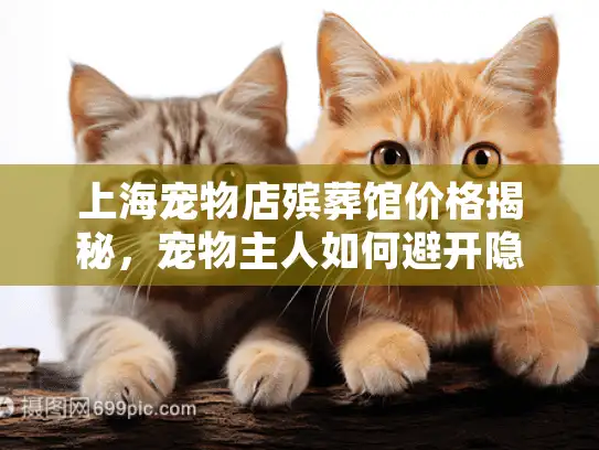 上海宠物店殡葬馆价格揭秘，宠物主人如何避开隐形消费陷阱