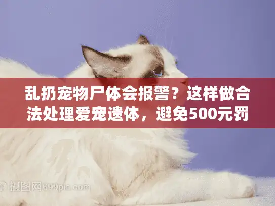 乱扔宠物尸体会报警？这样做合法处理爱宠遗体，避免500元罚款