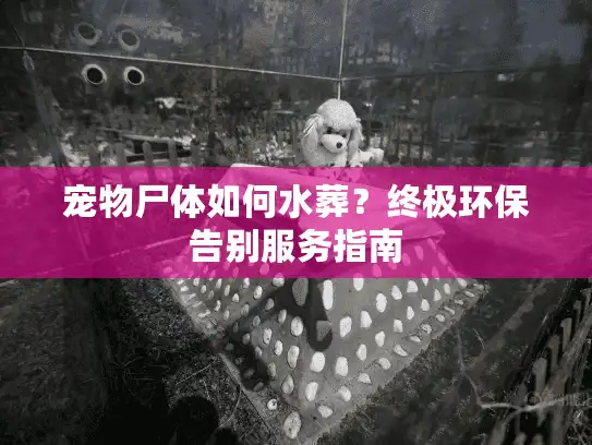 宠物尸体如何水葬？终极环保告别服务指南