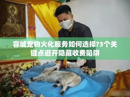 容城宠物火化服务如何选择?3个关键点避开隐藏收费陷阱
