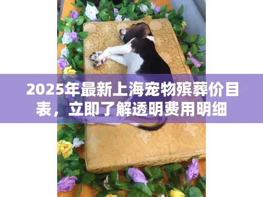 2025年最新上海宠物殡葬价目表，立即了解透明费用明细