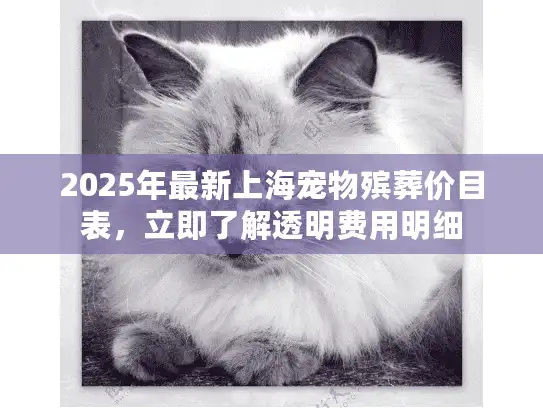 2025年最新上海宠物殡葬价目表，立即了解透明费用明细