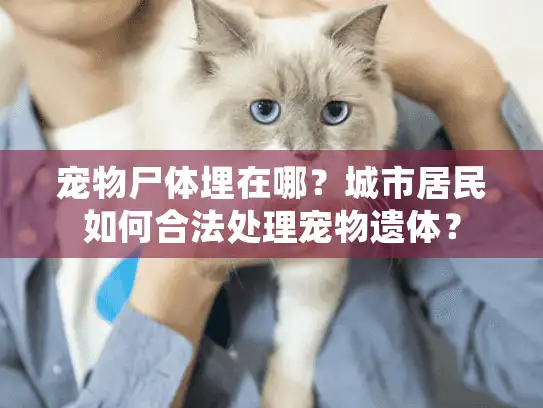 宠物尸体埋在哪？城市居民如何合法处理宠物遗体？