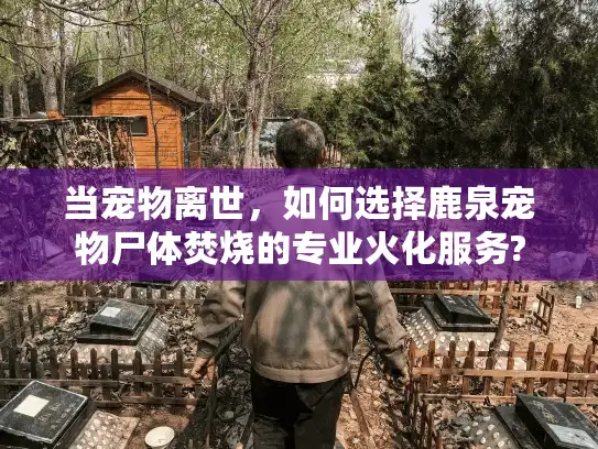 当宠物离世，如何选择鹿泉宠物尸体焚烧的专业火化服务?