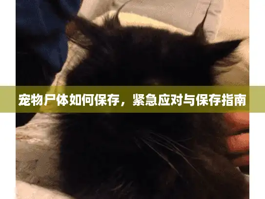宠物尸体如何保存，紧急应对与保存指南