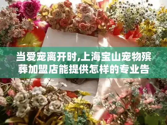 当爱宠离开时,上海宝山宠物殡葬加盟店能提供怎样的专业告别服务?