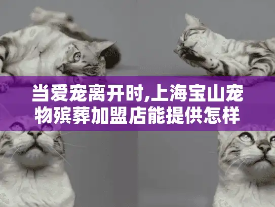 当爱宠离开时,上海宝山宠物殡葬加盟店能提供怎样的专业告别服务?