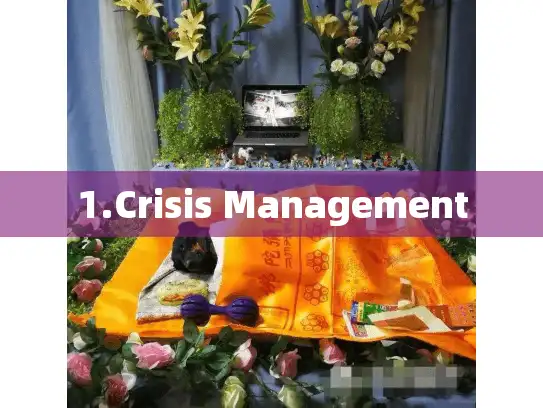 1.Crisis Management
