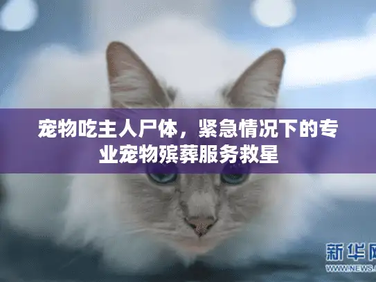 宠物吃主人尸体，紧急情况下的专业宠物殡葬服务救星