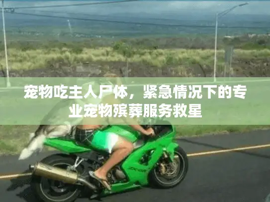 宠物吃主人尸体，紧急情况下的专业宠物殡葬服务救星
