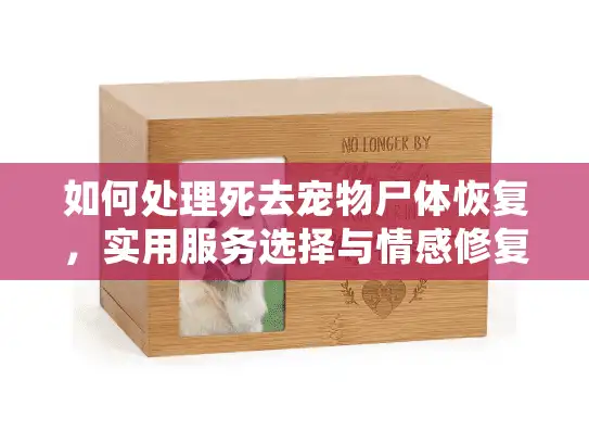 如何处理死去宠物尸体恢复，实用服务选择与情感修复指南