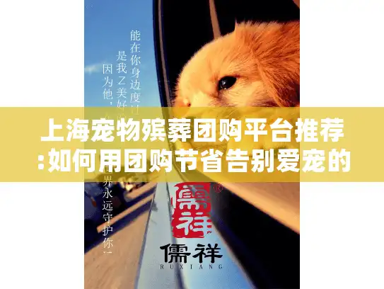 上海宠物殡葬团购平台推荐:如何用团购节省告别爱宠的高额开支