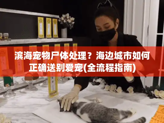 滨海宠物尸体处理？海边城市如何正确送别爱宠(全流程指南)