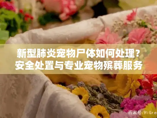 新型肺炎宠物尸体如何处理？安全处置与专业宠物殡葬服务全面指南