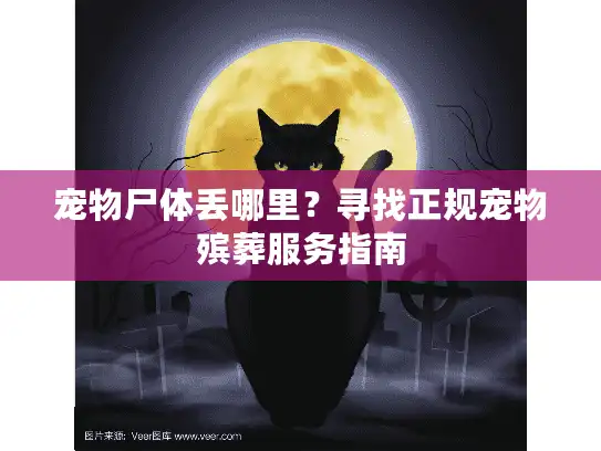 宠物尸体丢哪里？寻找正规宠物殡葬服务指南
