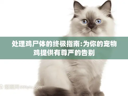 处理鸡尸体的终极指南:为你的宠物鸡提供有尊严的告别