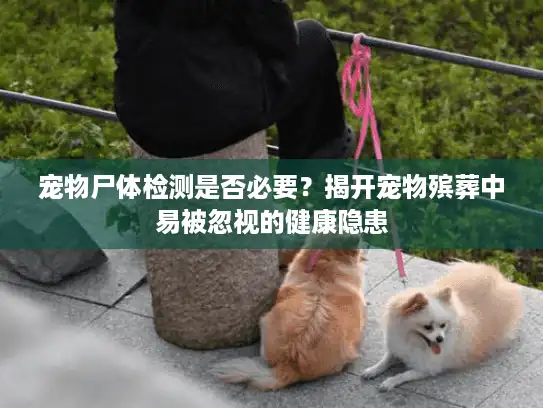 宠物尸体检测是否必要？揭开宠物殡葬中易被忽视的健康隐患
