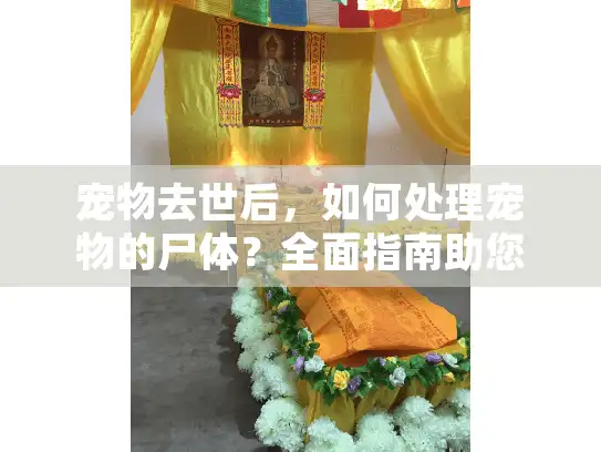 宠物去世后，如何处理宠物的尸体？全面指南助您安心选择服务