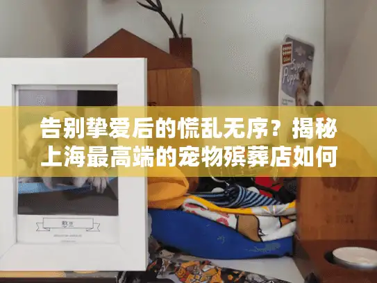 告别挚爱后的慌乱无序？揭秘上海最高端的宠物殡葬店如何治愈创伤