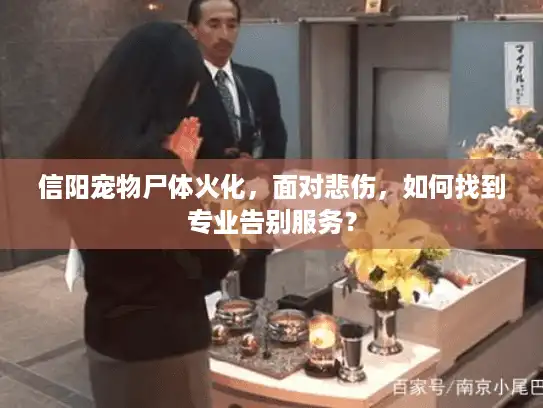信阳宠物尸体火化，面对悲伤，如何找到专业告别服务？