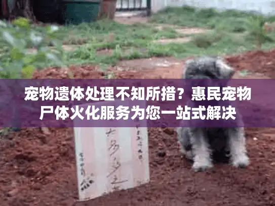 宠物遗体处理不知所措？惠民宠物尸体火化服务为您一站式解决