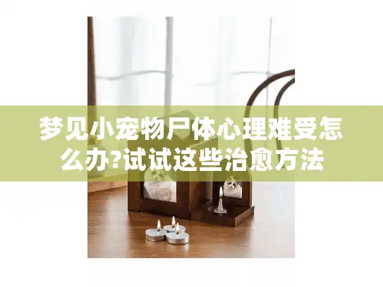 梦见小宠物尸体心理难受怎么办?试试这些治愈方法