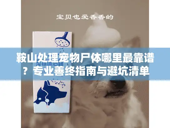 鞍山处理宠物尸体哪里最靠谱？专业善终指南与避坑清单