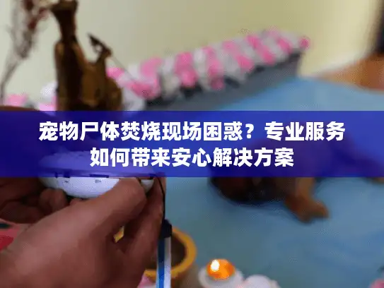 宠物尸体焚烧现场困惑？专业服务如何带来安心解决方案