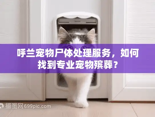 呼兰宠物尸体处理服务，如何找到专业宠物殡葬？