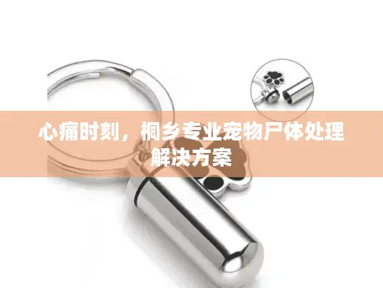 心痛时刻，桐乡专业宠物尸体处理解决方案