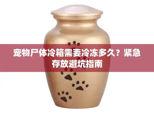 宠物尸体冷箱需要冷冻多久？紧急存放避坑指南