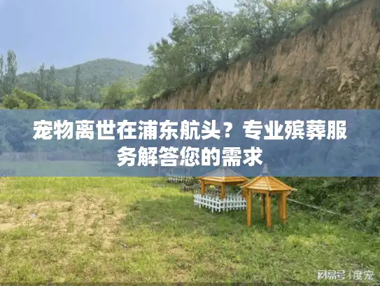 宠物离世在浦东航头？专业殡葬服务解答您的需求