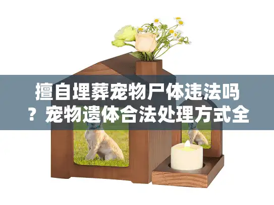 擅自埋葬宠物尸体违法吗？宠物遗体合法处理方式全面指南
