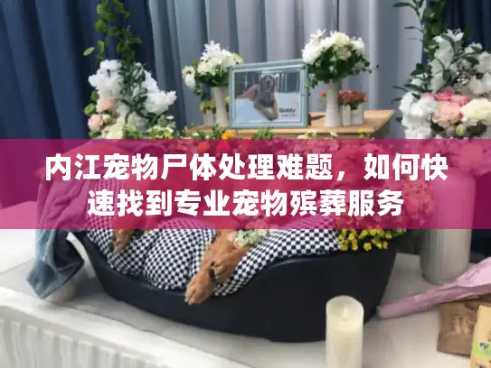 内江宠物尸体处理难题，如何快速找到专业宠物殡葬服务