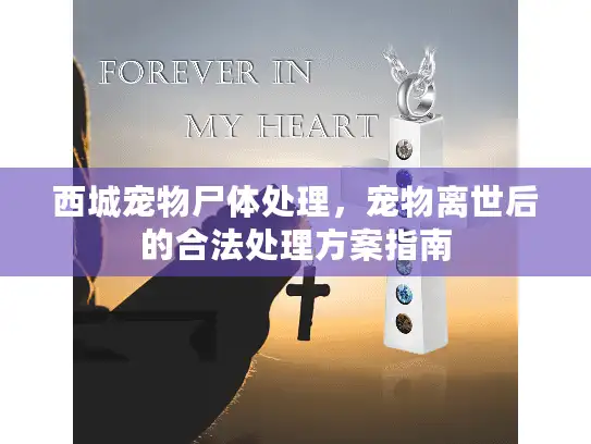西城宠物尸体处理，宠物离世后的合法处理方案指南