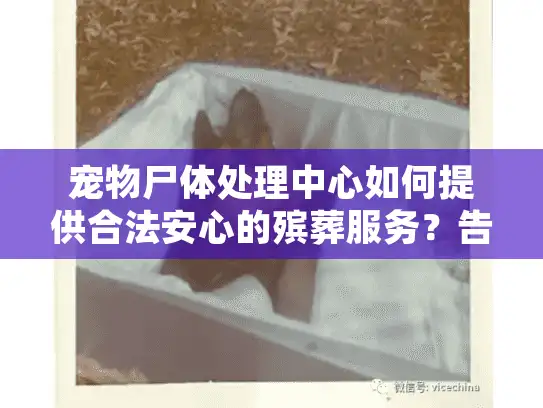 宠物尸体处理中心如何提供合法安心的殡葬服务？告别无助时刻