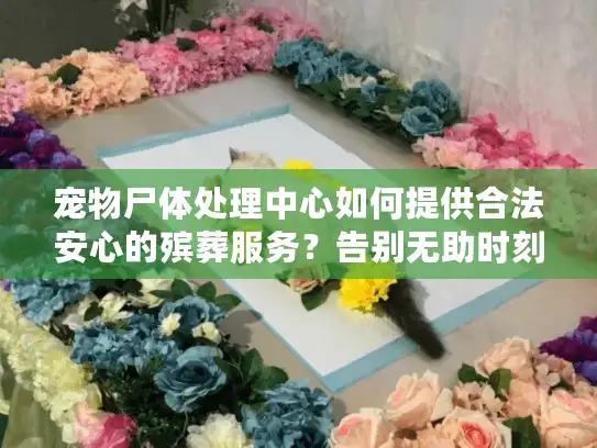 宠物尸体处理中心如何提供合法安心的殡葬服务？告别无助时刻